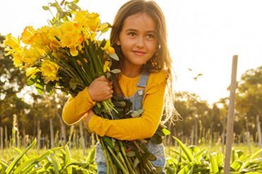 Daffodil Day 2017