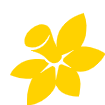 Felicity_CCNSW