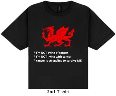 Toms 2026 T shirt 2.jpg