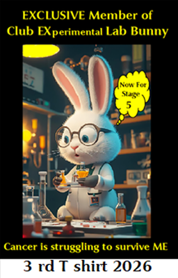 Bunny tshirt.png