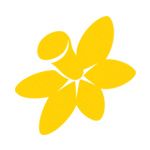 Kim_CCNSW
