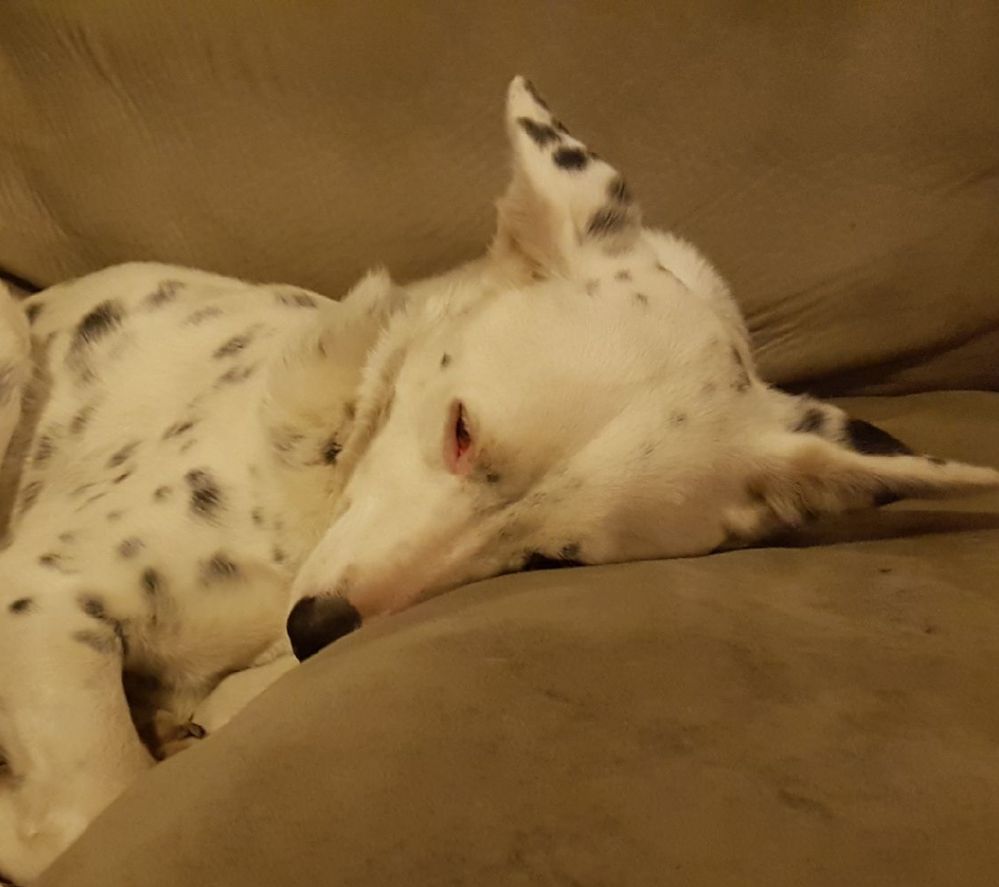 20190712_211646.jpg