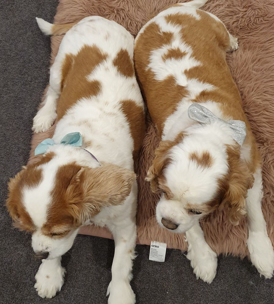 Sally and Lucy