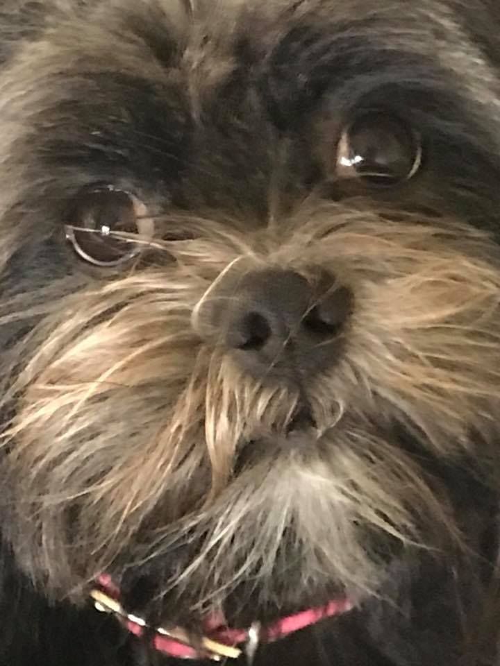 Gracie