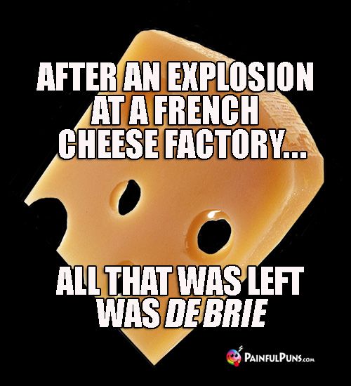 swisslicDbrie (1).jpg