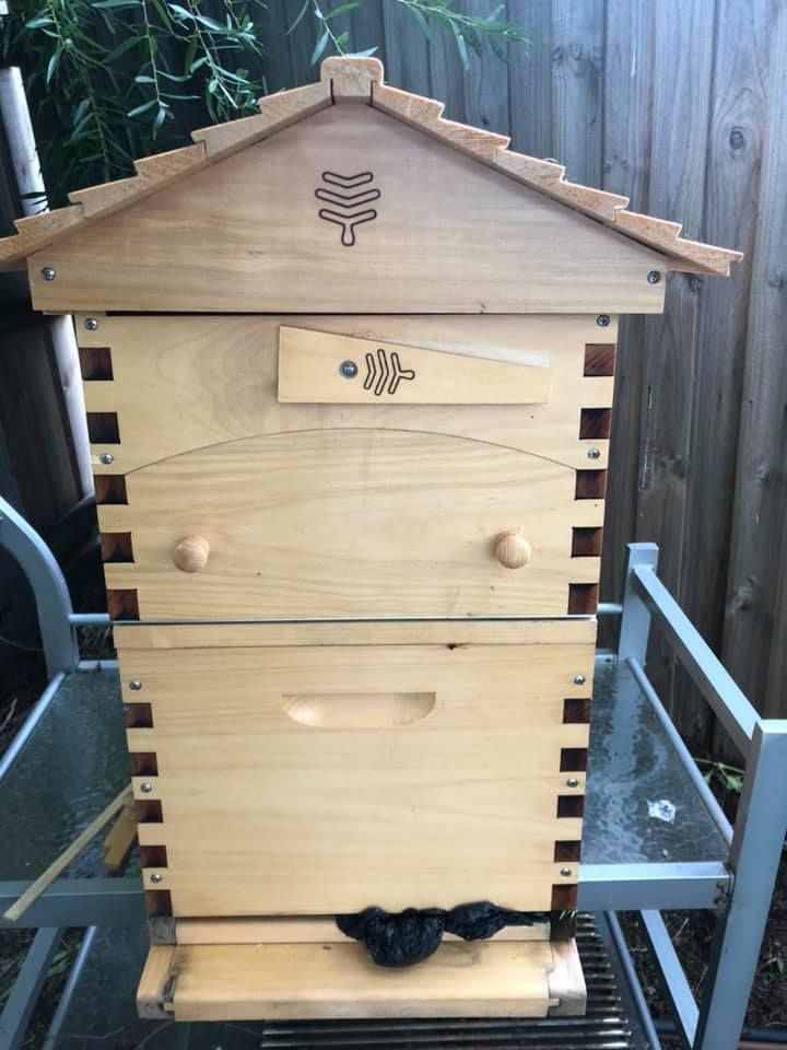 bee hive.jpg